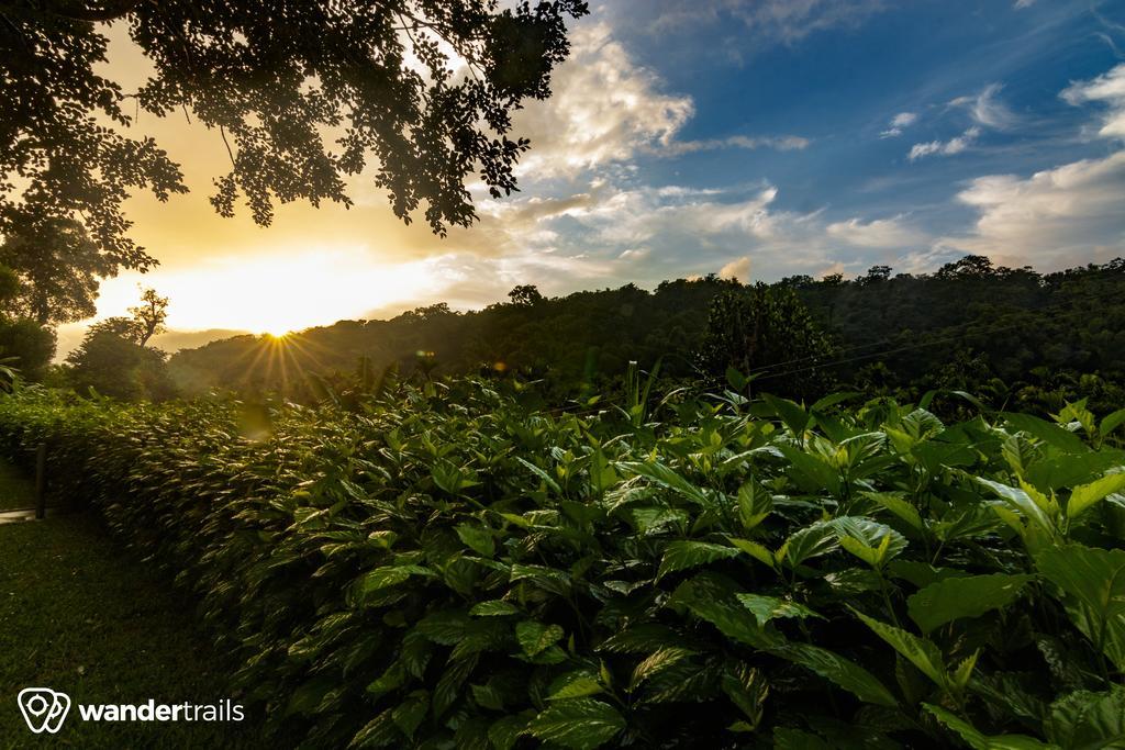 Whispering Willows Gudalur  Exterior photo