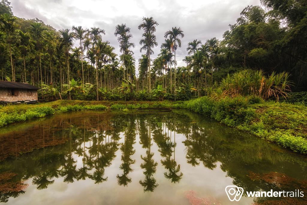 Whispering Willows Gudalur  Exterior photo